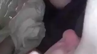 Girlfriend Licking My Balls POV